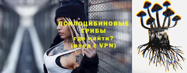 СК Нефтекумск